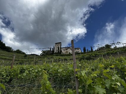 Foto von Kai Witthinrich entlang der Tour