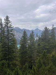 Fotografija s spletne strani Thomas Wally na poti