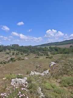 Fotografija s spletne strani Katona Ferk Mariann na poti