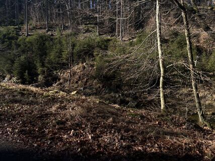 Photo de Gabrielle De Brabanter le long du parcours
