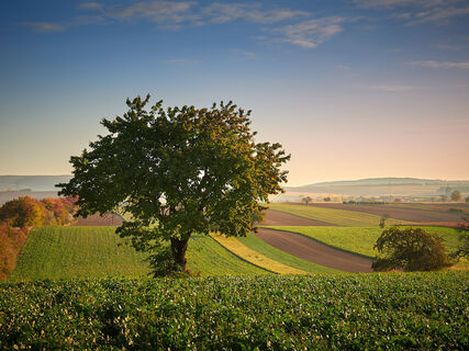 Naturpark Rosalia-Kogelberg