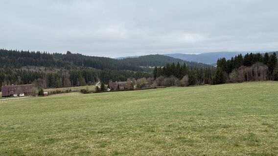 Photo de Gisbert Hahn le long du parcours