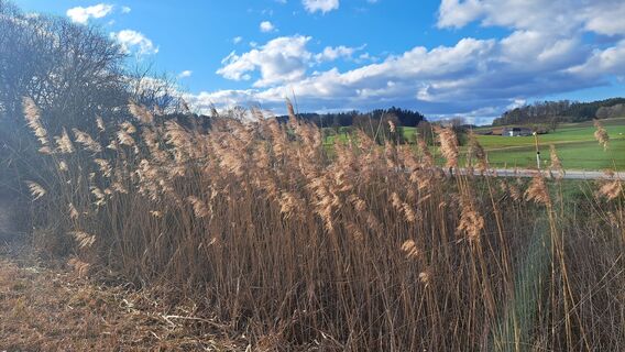 Foto von Anita Lunzer 1 entlang der Tour