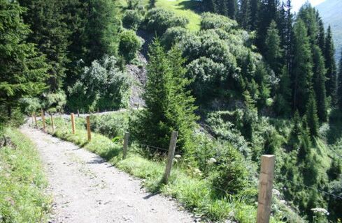 Bikeweg zur Ochsenalp