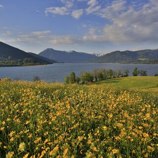 Blick von Kaltenbrunn auf den Tegernsee