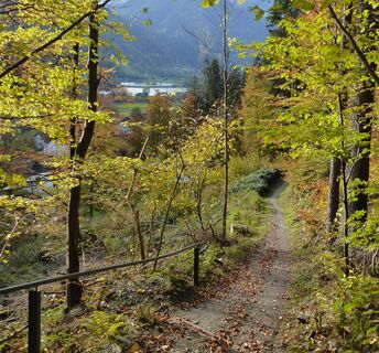 Gaueserwaldweg