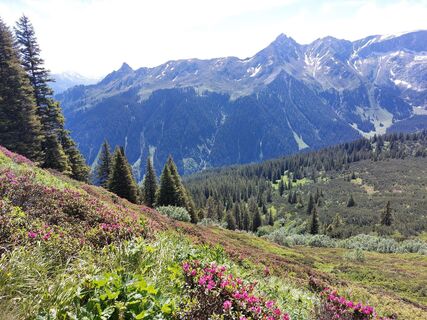 Foto von Jens Brunner entlang der Tour