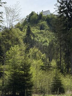 Foto de Dr. Katarzyna Milkowska-Leyck a lo largo del recorrido