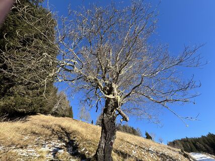 Fotografia z martina hornik na trase