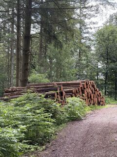 Foto von Nicole Versporten entlang der Tour