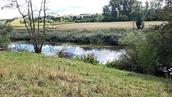 Foto de Gisela Gnann-Maier a lo largo del recorrido