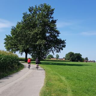 Auf dem Weg nach Moosbach