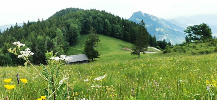 Zdjęcie z Klaus Lehner wzdłuż trasy