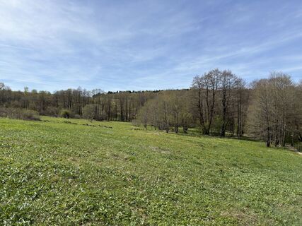 Photo de Frank Neumann le long du parcours