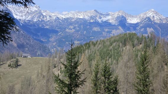 Fotografija s spletne strani kriessda na poti