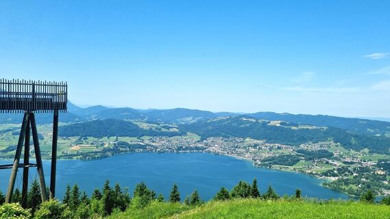 Foto van Veronika Strauss langs de tour