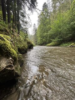 Foto de Csaba Marosi a lo largo del recorrido
