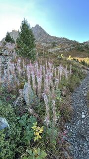 Foto von Rolf Limacher entlang der Tour