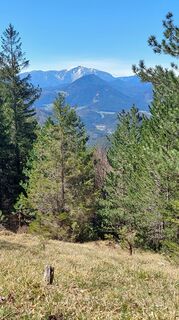 Fotografija s spletne strani Johann Neubauer na poti