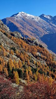 Fotografija s spletne strani Fabrizi Mellano na poti