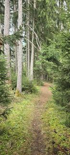 Photo de ThomasBauer le long du parcours