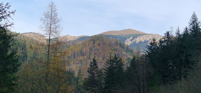 Foto von Utassy Tóth Johanna entlang der Tour