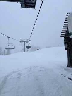 Fotografia z Norbert Nemes na trase