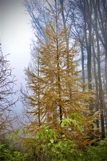 Фото с сайта Kellner Heidi во время экскурсии