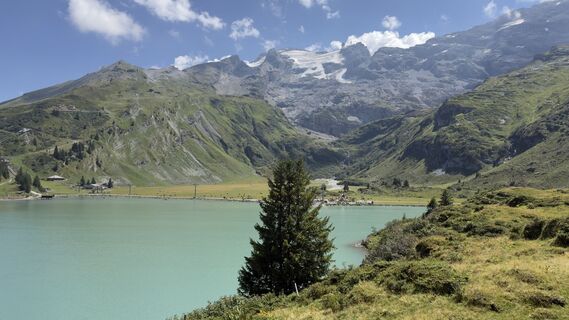 Photo de Peter Burki le long du parcours