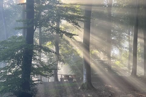 Foto von Gloop entlang der Tour