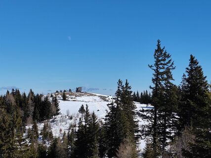 Foto von Sabine Kriebernegg entlang der Tour