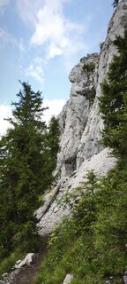 Fotografija s spletne strani mokri na poti