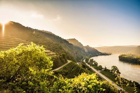 Weinrieden rund um Dürnstein