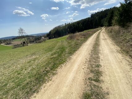 Fotografie z Attila Mihalcz na trase