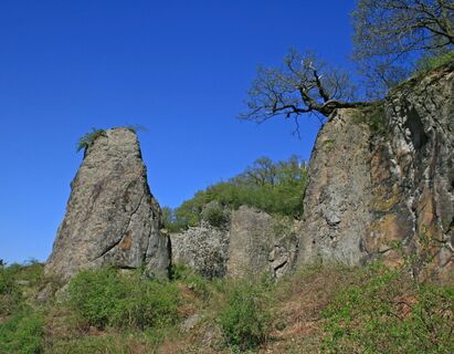 Stenzelberg-Umlaeufer