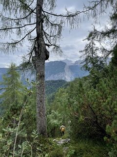 Foto von Ildikó Pém entlang der Tour