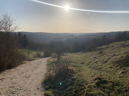 Alpinensteig