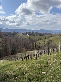 Fotografie z Reinhard Frewein na trase