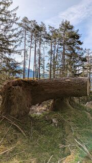 Foto von Martin Glaser entlang der Tour