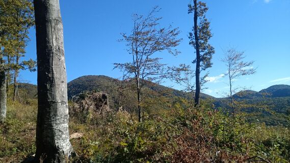 Foto de Davor Puklin a lo largo del recorrido