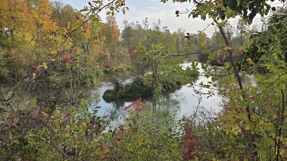 Zdjęcie z Hieu Duc Tram wzdłuż trasy