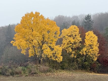 Foto de Norbert Herbig a lo largo del recorrido
