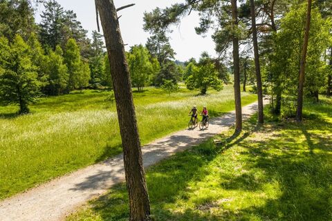 Radfahrer am Schlangenberg