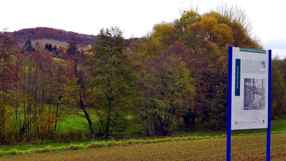 Blick zum König