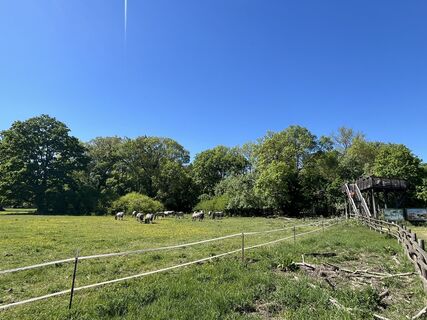 Foto von NinaNox entlang der Tour