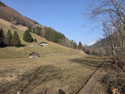 Fotografia z Massimo Romano 2 na trase