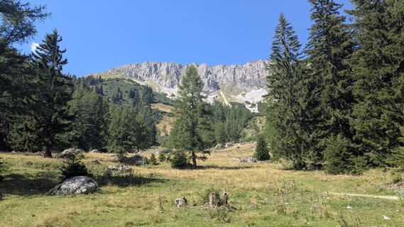 Photo de Jacky le long du parcours
