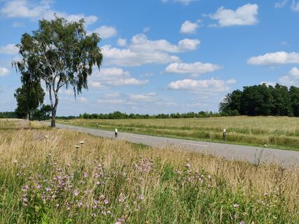 Landstraße bei Olmsruh