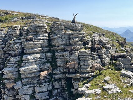 Fotografija s spletne strani Peter Würmli na poti