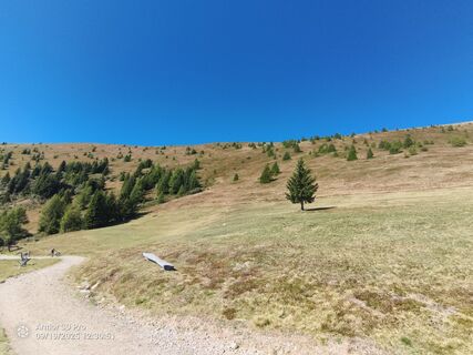 Foto von Peter Springer 1 entlang der Tour